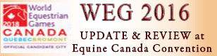 WEG 2016 Update