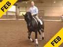 Hubertus Graf Zedtwitz<br>Riding & Lecturing<br>Rispy Crispy<br>Oldenburg<br>8 yrs. old Gelding<br>Training: Prix St. George<br>Duration: 38 minutes