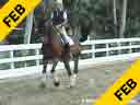 Mette Rosencrantz<br>Riding & Lecturing<br>Basquewille<br>Danish Warmblood<br>14 yrs. old<br>Training: Grand Prix<br>Duration: 36 minutes