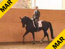 Nathalie Wittgenstein <br> Riding &  Lecturing<br>Fadienne<br> Danish Warmblood<br> 4 yrs. old<br>Training: Elementary Level<br>Duration: 27 minutes