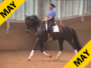 Rudolf Zeilinger<br> Assisting<br>Katherine Haddad<br>Cadallac<br> Danish Warmblood<br> 9 yrs. old<br> Training: Grand Prix<br>Duration: 29 minutes