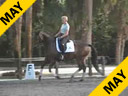 USDF APPROVED<br>University Accreditation <br>George Williams<br>Assisting<br>Joan Smith<br>Twister<br>by:Jazz<br>6 yrs.old KWPN<br>Training: 2nd Level<br>Duration: 44 minutes