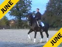 Leonie Bramall<br>Riding & Lecturing<br>Karl<br>Holsteiner<br>13 yrs. old Stallion<br>Training: Grand Prix<br>Duration: 25 minutes
