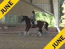 Volker Brommann<br>
Assisting<br>
Georgeann Benesch<br>
Lion King<br>
8 yrs. Old<br>
Friesian Buckskin Sporthorse<br>
by: Berend<br>
Training: 2nd Level<br>
Duration: 29 minutes
