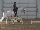 Phillip Hess<br> 
Riding & Lecturing<br>
Elly McBeil<br>
Oldenburg<br>
16 yrs. old Mare<br>
Training: GP<br>
Owner: Marion Loew<br>
Duration: 29 minutes

