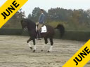 Rudolf Zeilinger<br>Riding & Lecturing<br>Weltisimo<br>out of Welthet<br>Oldenburg<br>9 yrs. old Stallion<br>Training: Grand Prix<br>Duration: 35 minutes
