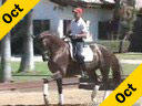 Guenter Seidel<br>Riding and Lecturing<br>French Prince<br>Wurttemberg Gelding<br>7 yr. old by French Kiss<br>Training: 3rd Level<br>Duration: 40 minutes