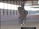 Charles De Kunffy<br>
Assisting<br>
Cassie Schmidt<br>
Valencio<br>
13  yrs. Old Dutch  Gelding<br>
Training: FEI  Juniors 3rd Level<br>
Owner:  Cassie Schmidt<br>
Duration: 6 minutes
