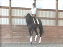 Ulla Salzgeber<br>
Assisting<br>
Shelley Lawder<br>
Lotus<br>
14 yrs. Old Westfalen  Gelding<br>
by:  L’amoureux II<br>
Training: GP Level<br> 
Owner:  Carole Hobbins &<br>
Shelley Lawder<br>
Duration: 25 minutes

