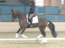 CDS Annual Symposium<br>
Steffen Peters&<br>
Christine Traurig<br>
Hilda Gurney&<br>
Charlotte Bredahl<br>
Assisting<br>
Gabby Glumac<br>
Zodessa<br>
12 yrs. old Mare<br>
Dutch Warmblood<br>
Training: GP<br>
Duration: 30 minutes