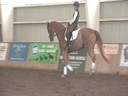 Day 1<br>NEDA Fall Symposium<br>Hubertus Schmidt<br>Assisting<br>Micaela Mabragana<br>Granada<br>14 yrs. old Gelding<br>Swedish <br>Owner: Sam Grunkorn<br>Training: Intermediaire 2<br>Duration: 49 minutes