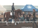 NEDA Fall Symposium<br>
Steffen Peters<br>
Riding & Lecturing &<br>
Assisting<br>
Abby Martin<br>
Falco<br>
Danish Gelding<br>
Training: 1st Level<br>
Owner:Abby Martin<br>
Duration: 56 minute