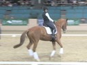 CDS Annual Symposium<br>
Steffen Peters&<br>
Christine Traurig<br>
Hilda Gurney&<br>
Charlotte Bredahl<br>
Assisting<br>
Craig Stanley<br>
Habanero CWS<br>
Dutch Warmblood Gelding<br>
Duration: 44 minutes
