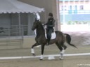 CDS Annual Symposium<br>
Steffen Peters&<br>
Christine Traurig<br>
Hilda Gurney&<br>
Charlotte Bredahl<br>
Assisting<br>
Dawn White-O,Connor<br>
Aristo<br>
12 yrs. old KWPN Gelding<br>
Training: GP<br>
Duration: 29 minutes