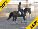 Day 3<br>Heike Kemmer<br>
Assisting<br>
Linda Parmenter<br>
Odin<br>
KWPN<br>
14 yrs. Gelding<br>
Training: PSG Level<br>
Duration: 35 minutes

