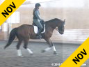 Klaus Balkenhol<br>
Assisting<br>
Anabel Balkenhol<br>
Little Big Brother<br>
Westfalian<br>
by: Landro L<br>
7 yrs. old Gelding<br>
Training: 3rd Level<br>
Owner: Anabel Balkenhol<br>
Duration: 14 minutes
