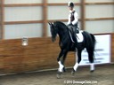 SFMWNY Maplewood Warmbloods<br>
Michael Klimke<br>
Assisting<br>
John Lee Amber<br>
Shakespeare<br>
by: Sandro Hit<br>
6 yrs. old Stallion<br>
Training: 2nd/3rd Level<br>
Duration: 23 minutes
