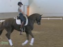 NEDA Fall Symposium<br>Day 2<br>
Ashley Holzer<br>
Stephen Clarke<br>
Assisting<br>
Jovanna Stepan<br>
Oke Doke<br>
10 yrs. Old Konnemara Gelding<br>
Duration:31 minutes



