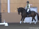 NEDA Fall Symposium<br>Day 1<br>
Ashley Holzer<br>
Stephen Clarke<br>
Assisting<br>
Jennifer Mahoney-Goland<br>
Daily Sin<br>
7 yrs. Old Oldenburg  Gelding<br>
Duration: 50 minutes

