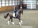 SFMWNY Maplewood Warmbloods<br>
Micheal Klimke<br> 
Assisting<br>
Margaret Boyce<br>
Bigello<br>
Hanoverian<br>
5 yrs. old<br>
Training: 1st Level<br>
Duration: 26 minutes
