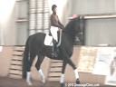 NEDA Fall Symposium<br>
Steffen Peters<br>
& Shannon Peters<br>
Steffen Peters<br>
Assisting<br>
Jennifer Wilson<br>
Unika<br>
by: Contango<br>
8 yrs. old Dutch Gelding<br>
Training: Intermediare 1-1<br>
Owner:Jennifer Wilsonbr> 
Duration: