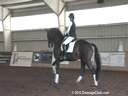 NEDA Fall Symposium<br>
Steffen Peters<br>
& Shannon Peters<br>
Assisting<br>
Allison Brock<br>
Rosevelt<br>
Hanoverian<br>
8 yrs. old<br>
Training: PSG/ Intermediaire-1<br>
Duration:32 minutes
