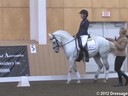 NEDA Fall Symposium<br>Day 2<br>
Ashley Holzer<br>
Stephen Clarke<br>
Assisting<br>
Emily Kannenstine<br>
Tornado Da Raposa<br>
12 yrs. Old Lusitano Stallion<br>
Duration: 28 minutes

