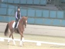 CDS Annual Symposium<br>
Hilda Gurney<br>
Assisting<br>
Adrienne Bessey<br>
Wintersnow<br>
Oldenburg Gelding<br>
& Jodie Cressman<br>
Upendo<br>
15 yrs. old Gelding<br>
Training: GP<br>
Duration: 60 minutes
