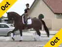 Kathy Connelly<br>Assisting<br>Diana Miller<br>Rolex<br> by Cocktail<br>10 yrs. old<br> KWPN<br>Training: Prix St. George<br>Duration: 36 minutes