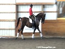 SFMWNY Maplewood Warmbloods<br>
Monica Theodorescu<br>
Assisting<br>
Jerry Stone<br>
Fabiola<br>
Rheinlander<br>
by: Feidelis<br>
10 yrs. old Mare<br>
Training: 3rd Level<br>
Owner: Pat & Jerry Stone<br>
Duration: 17 minutes
