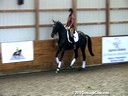 SFMWNY Maplewood Warmbloods<br>
Michael Klimke &<br>
Monica Theodorescu<br>
Assisting<br>
Beth Sproule<br>
Duelisa Darlyn<br>
by: Davignport<br>
8 yrs. old Mare<br>
Training: Schooling PSG<br>
Owner:Beth Sproule- Hansenbr>
Duration: 35 minut