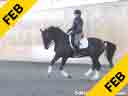 Heike Kemmer<br>
Assisting<br>
Jane Karol<br>
Nibbit<br>
Dutch  Warmblood<br>
15 yrs. Old<br> 
Training: GP Level<br>
Duration: 40 minutes
