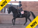 Shannon Dueck<br>
Riding & Lecturing<br>
Sentimiento I<br>
10 yrs. old PRE- Stallion<br>
Training: 1-2/GP Level<br>
Owner: Tamara Gerber<br>
Duration: 43 minutes

