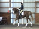 SFMWNY Maplewood Warmbloods<br>
Micheal Klimke<br>
Assisting<br>
Monica Theodorescu<br>
Grant Gatsby<br>
Hanoverian<br>
By:Feidelis<br>
14 yrs. old <br>
Training: 3rd Level<br>
Owner: Mary Armstrong<br>
Duration: 26 minutes
