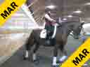 Kathy Connelly<br>
Assisting<br>
Ryan Yap<br>
Ubachon<br>
KWPN<br>
by: Cabochon<br>
10 yrs. old Gelding<br>
Training: 4th Level<br>
Owner: Nancy Fischman<br>
Duration: 35 minutes

