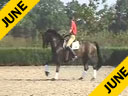 Available on DVD No.17<br>Rudolf Zeilinger<br>Riding & Lecturing<br>Franciscus<br>Westphalian<br>7 yrs. old Gelding<br>Training: Prix St. George/I-2<br>Duration: 32 minutes