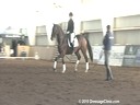 NEDA Fall Symposium<br>
Steffen Peters<br>
Assisting<br>
Kristen Schwaegerle<br>
PG Thirteen HU<br>
Hanoverian<br>
4 yrs. old Stallion<br>
Training: Training Level<br>
Duration: 40 minutes
