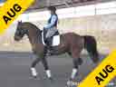 Heike Kemmer<br>
Assisting<br>
Nancy Later Lavoie<br>
Alexis D<br>
Oldenburg<br>
18 yrs. old Mare<br>
Training: GP<br>
Duration: 37 minutes
