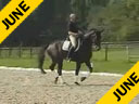 Hubertus Schmidt<br>Riding & Lecturing<br>Forest Gump<br>by: Florestan<br>Westphalian<br>10 yrs. old Gelding<br>Training: Grand Prix<br>Duration: 32 minutes