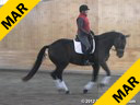 Day 3<br>
Heike Kemmer<br>
Assisting<br>
Nancy Later Lavoie<br>
Alexis D<br>
Oldenburg<br>
18 yrs. old Mare<br>
Training: GP Level<br>
Duration: 40 minutes
