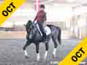 Heike Kemmer<br>
Assisting<br>
Leslie de Grandmaison<br>
Wiebren Fan Mims<br>
Friesen Gelding<br>
11 yrs. old <br>
Training: 4th Level<br>
Owner:  Randa Pehl<br>
Duration: 43 minutes
