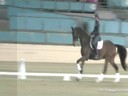 CDS Annual Symposium<br>
Charlotte Bredahl<br>
Assisting<br>
Ashlyn Degroot<br>
Dalina DG<br>
9 yrs. old Mare<br>
Dutch Warmblood<br>
Duration: 43 minutes
