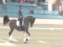 CDS Annual Symposium<br>
Christine Traurig<br>
Assisting<br>
Craig Stanley<br>
Habanero CWS<br>
Dutch Warmblood Gelding<br>
Duration: 46 minutes