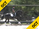 Shannon Dueck<br>
Assisting<br>
Irene Greenberg<br>
Tony<br>
Hanoverian<br>
5 yrs. old Gelding<br>
Training: FEI- Schooling Master<br>
Owner: Irene Greenberg<br>
Duration: 36 minutes
