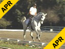 Klaus Balkenhol<br>
Assisting<br>
Geunter Seidel<br>
Aragon<br>Warmblood<br>
13 yrs. old Gelding<br>
Duration: 30 minutes