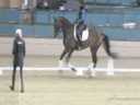 CDS Annual Symposium<br>
Steffen Peters<br>
Assisting<br>
Dawn White-O'Connor<br>
Legolas 92<br>
15 yrs. old Gelding<br>
Westphalian<br>
Duration: 49 minutes
