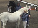 Ulla Salzgeber<br>
Assisting<br>
Shelley Lawder<br>
Zaouira<br>
7 yrs. Old  Oldenburg Mare<br>
by:  Blue Hors Zack/Rousseau<br>
Training: PSG  Level<br>
Owner:  Linda Houweling<br>
Duration: 37 minutes

