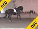 NEDA Fall Symbosium<br>
Day 1<br>
Ingrid Klimke<br>
Assisting<br>
Heidi Conlon<br>
Donnazauber<br>
13 yrs. Old Gelding<br>
Training: GP Level<br>
Duration: 34 minutes
