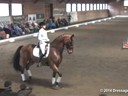 NEDA Fall Symposium<br>Ingrid Klimke<br>
Assisting<br>
Denise Goyea<br>
Jet'aime<br>
6 yrs. Old Oldenburg Mare<br>
Training: 2nd level<br>
Owner:  Madeline Hartsock<br>
Duration: 23 minutes

