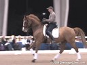 Available on DVD No.1<br>PRCS Professional Riders Clinic Symposium<br>Hubertus Schmidt<br>Riding & Lecturing<br>Jim Brandon<br>Equestrian Center<br>Wellington Florida<br>Duration: 33 minutes